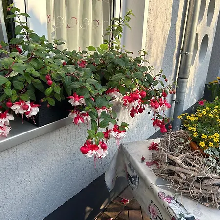 Ferienhaus Zittau Oberlausitz & Ferienwohnung Am Hamann Berg Buitenkant foto