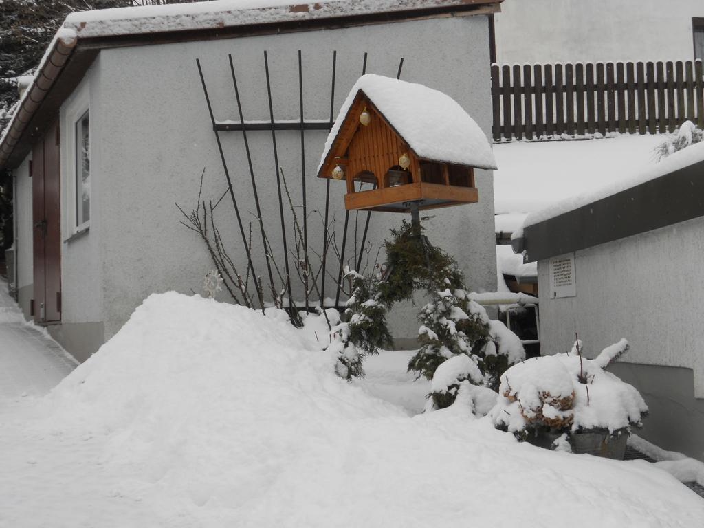 Oberlausitz & Am Hamann Berg * Zittau