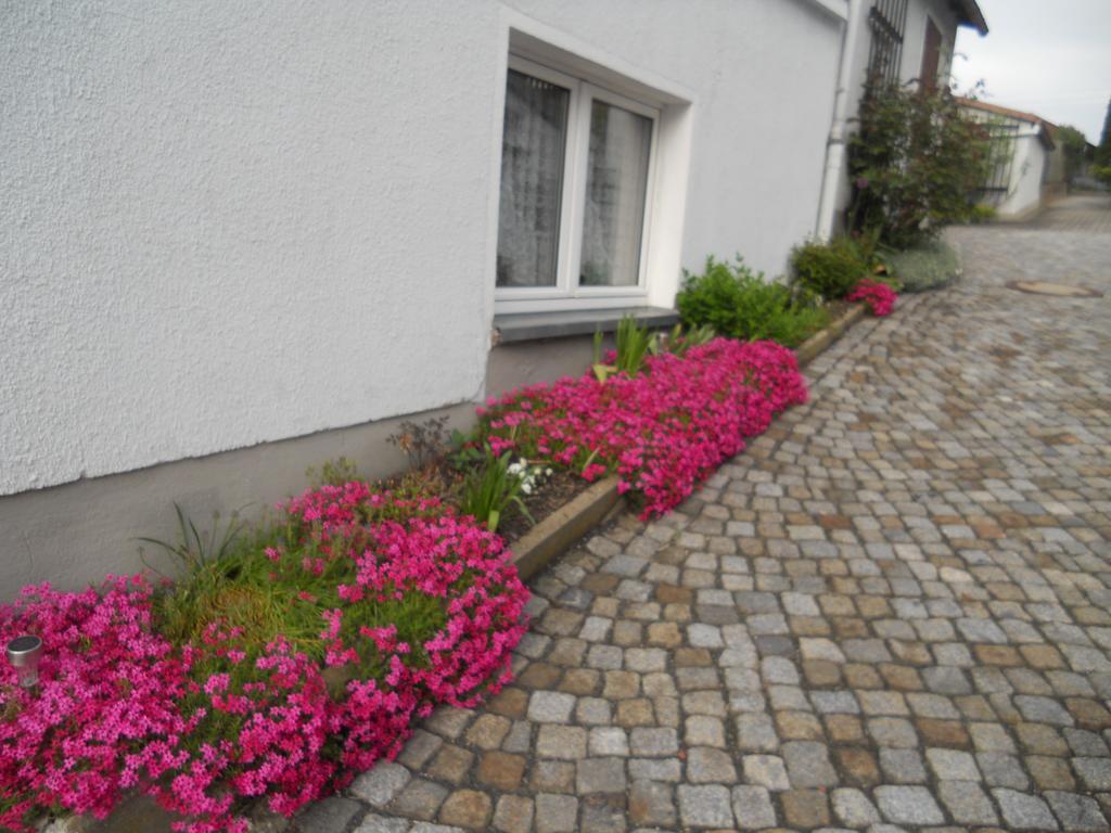Oberlausitz & Am Hamann Berg